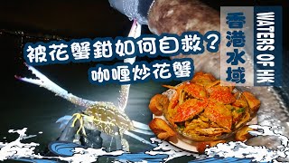 【漁人推介】香港水域 阿火帶大家夜潛 教大家如何分別花蟹公毑 被花蟹鉗到如何自救?阿火和大家一起把凍蟹變成咖哩炒花蟹|海鮮|食譜|Catch And Cook Seafood Crab 【漁人推介】香港水域 阿火帶大家夜潛 教大家如何分別花蟹公毑 被花蟹鉗到如何自救?阿火和大家一起把凍蟹變成咖哩炒花蟹|海鮮|食譜|Catch And Cook Seafood Crab