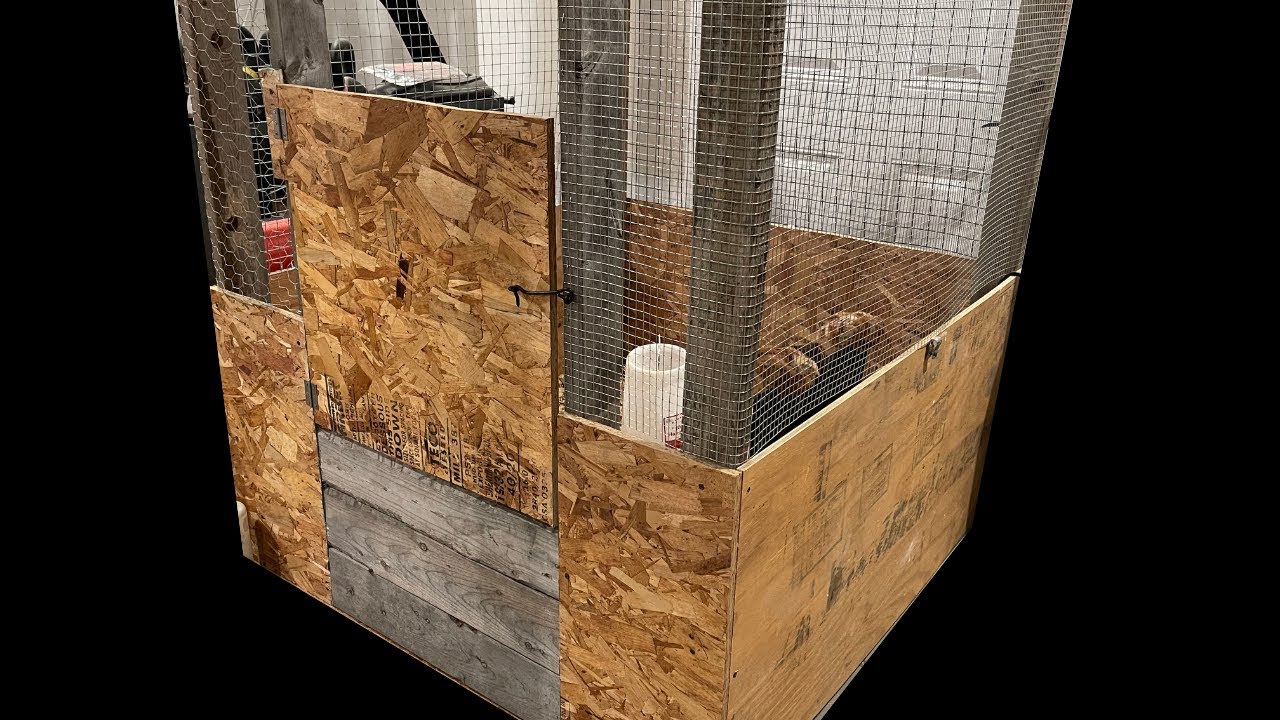 How To Build A DIY Chicken Brooder Cheap! - YouTube