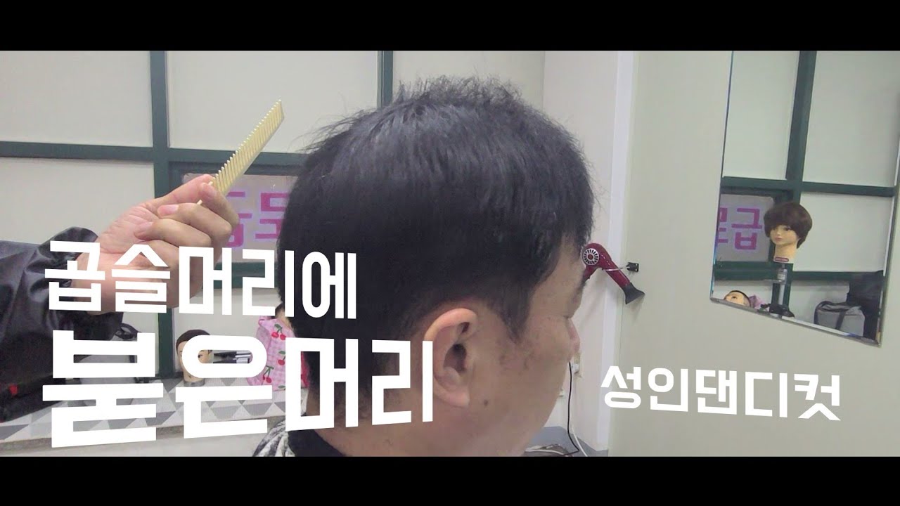 138회-[바리깡전문트레이너]많은일반이들이 가지고있는 곱슬머리에 붙는머리 성인댄디$$상담010.8284.9284