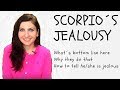 Scorpio’s Jealousy