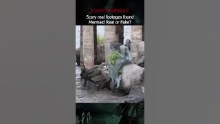 Download lagu PENAMPAKAN PUTRI DUYUNG ASLI DI DUNIA NYATA