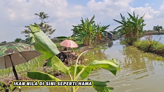 Seperti HAMA.. Mancing liar hitungan detik sampai bosan strike