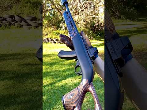 WOOX Cobra Precision 10/22