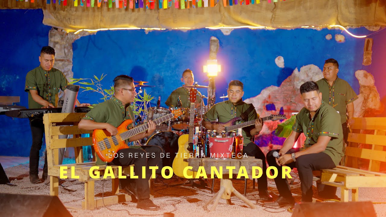El Gallito Cantador - Los Reyes De Tierra Mixteca [Sesión en vivo] 2024