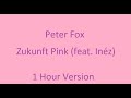 Peter Fox - Zukunft Pink (feat Inéz) | 1 Hour Version