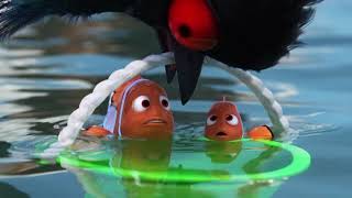 Procurando Dory - Geraldo