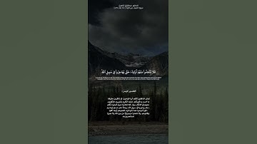 ماتيسر من سورة النساء| #quran #دعم #explore #fouryou #fouryoupage #اكسبلور #اكسبلور #راحة_نفسية #fyp