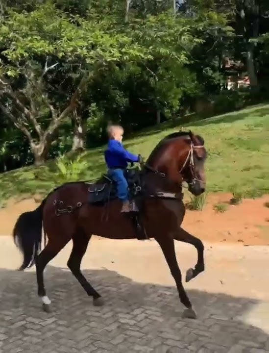 CHALANERIA INFANTIL #viralreels #caballos #viralvideo #equinos #cavalo #horse #equine #viralshorts