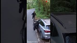 The Woman Get Trapped In The Middle Of The Jungle shorts