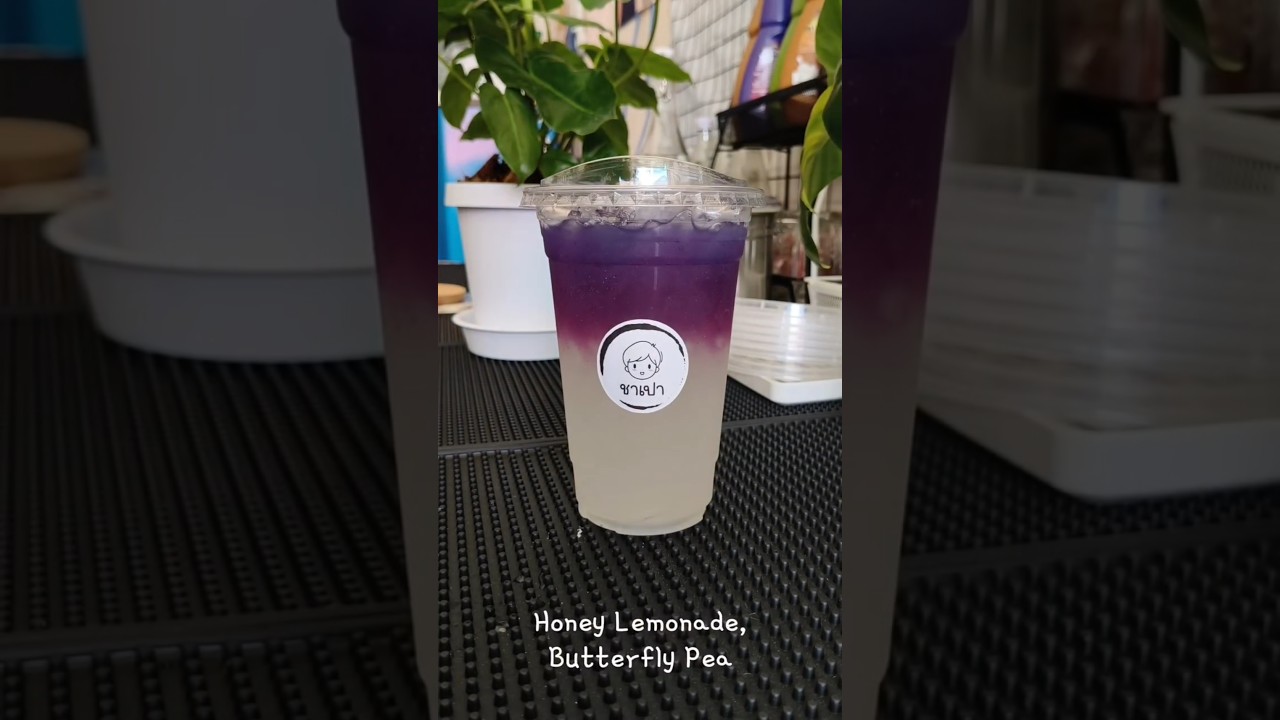 Honey Lemonade Butterfly Pea 🧉🐝🍋 - Chapao Cafe'
