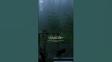 تلاوه هادئه للشيخ المنشاوي رحمه الله #قرآن #المصحف #حالات_واتس #قرآن #المصحف #قران_كريم #المنشاوي