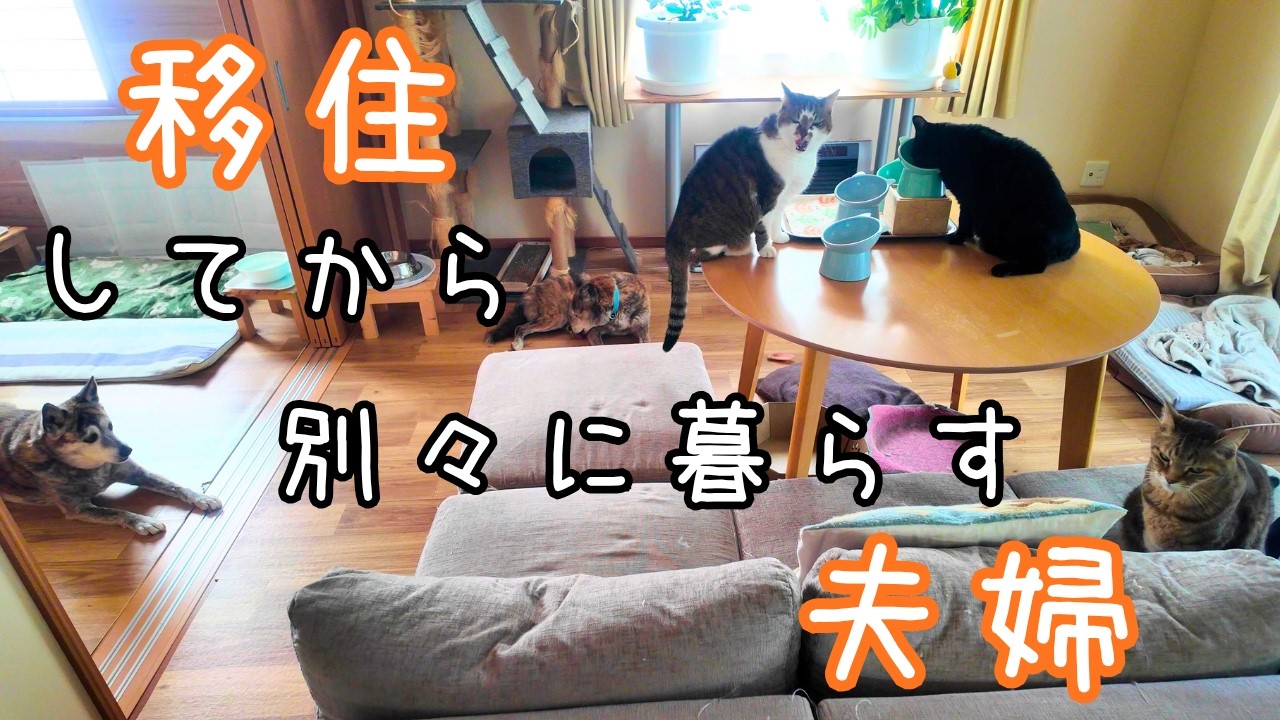 【移住】こんなことになるとは思わなかった【夫婦】
