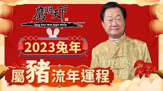 肖豬 2023兔年全年運程 | 事業 愛情 健康 財運 每月運程 | 《鷹明天下2023》