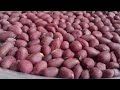 ROASTED GROUNDNUTS | HOW TO ROAST GROUNDNUTS | NJUGU KARANGA | @MissBinrow1