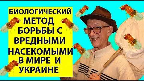 Полезные Насекомые. Биологический Метод Защиты Растений от Вредных Насекомых. Фитофаги и Энтомофаги.
