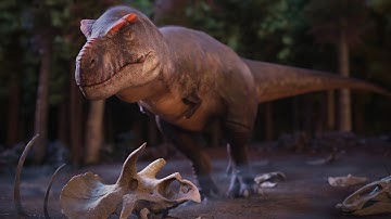 Tyrannosaurus rex | Bone Bed | Paleo animation