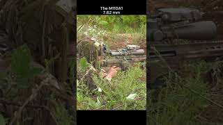 US Soldiers Test the New M110A1 Sniper #shorts  #military