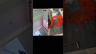 prank Karke fasa Diya #funny #viral #trendingshorts #videos
