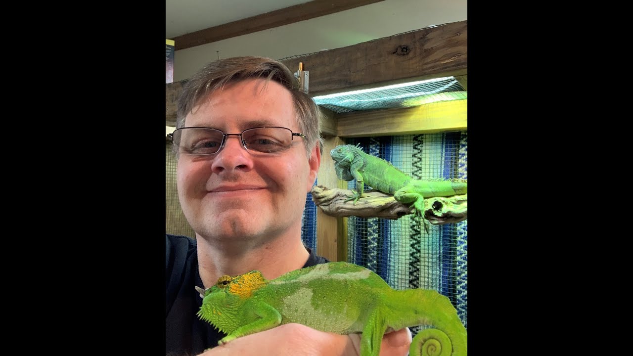 Medina, All Cleveland Reptile Show