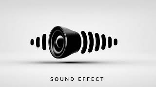 Funny Comedy Laugh -Sound Effect