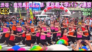 4K【東京都大学バトン連盟】渋谷・鹿児島おはら祭