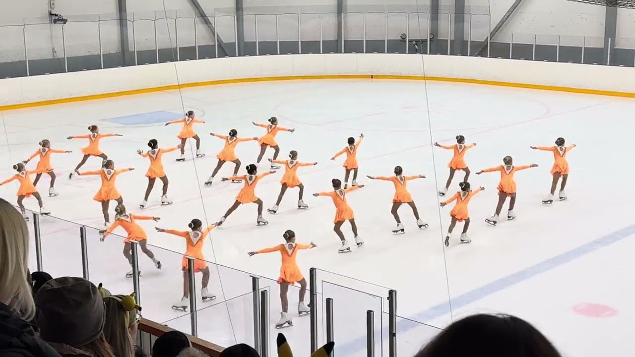 HL Sunflowers 2.  Esitys - ESJT Hyvän Mielen Tapahtuma (6.1.2016)