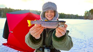 Ice Fishing A Hidden Frozen Pond For Brook Trout!