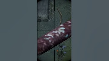 DayZ just wanted some water