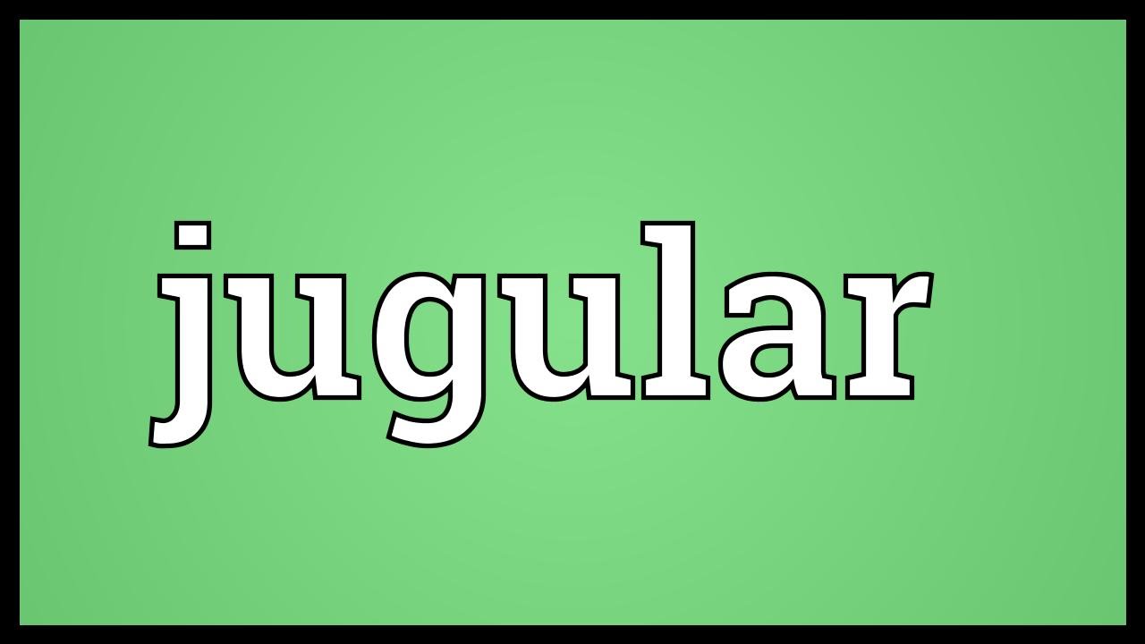 Jugular Meaning YouTube