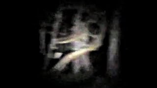 Window Tapping Bigfoot FILMED!! by Woodbooger Farm