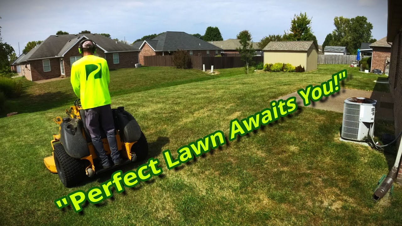 ultimate-lawn-mowing-tips-and-tricks-for-the-perfect-green-carpet