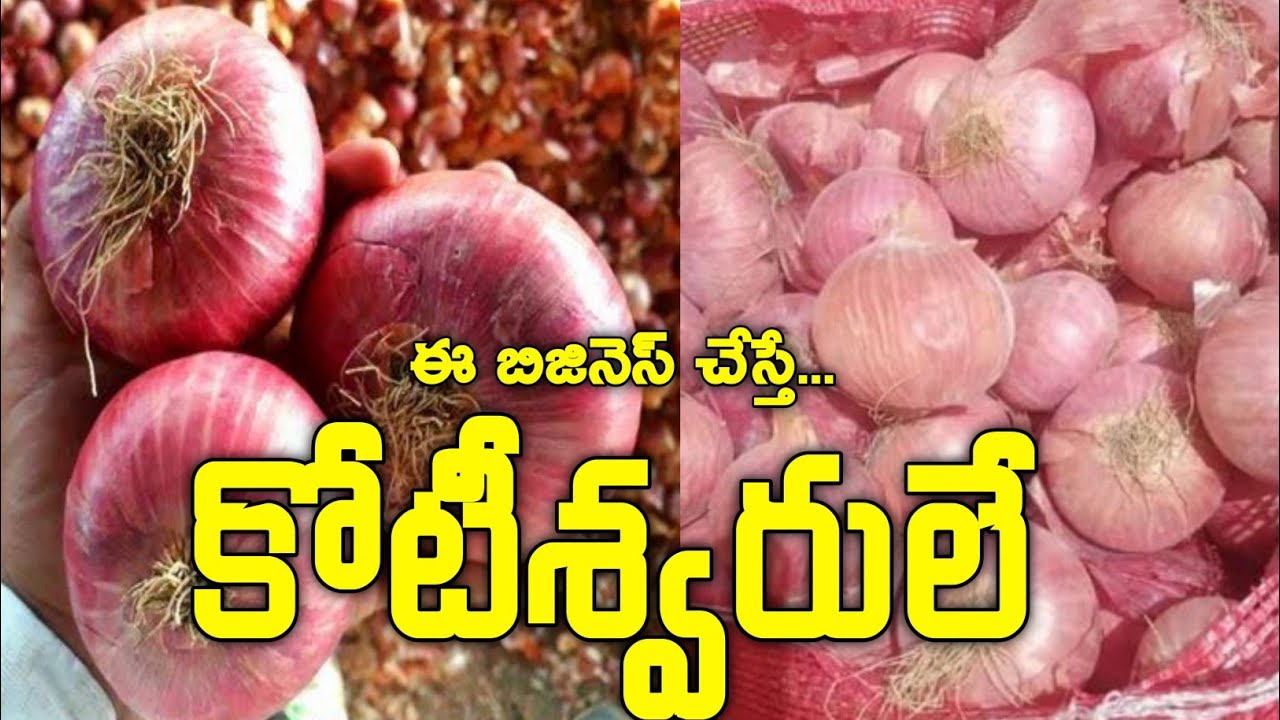 రోజుకు 3500 small business idea నెలకు లక్ష రూపాయలు Onion Business in Telugu (ullipayalu vyaparam.