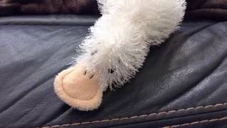 Life Of A Lil' Kinz Googles (WEBKINZ) A 2016 Stopmotion Video 5/11/2016