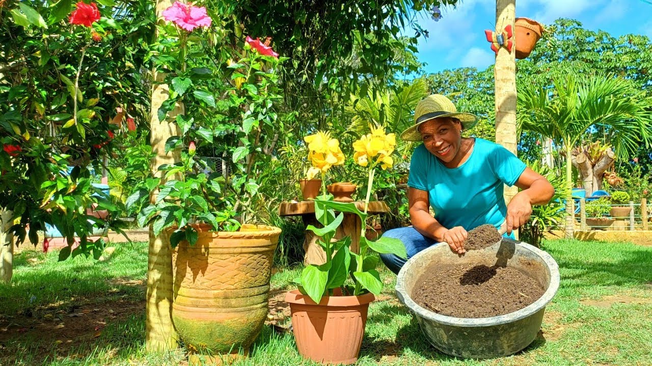 VIDA NA ROÇA - O MELHOR ADUBO CASEIRO A BAIXO CUSTO