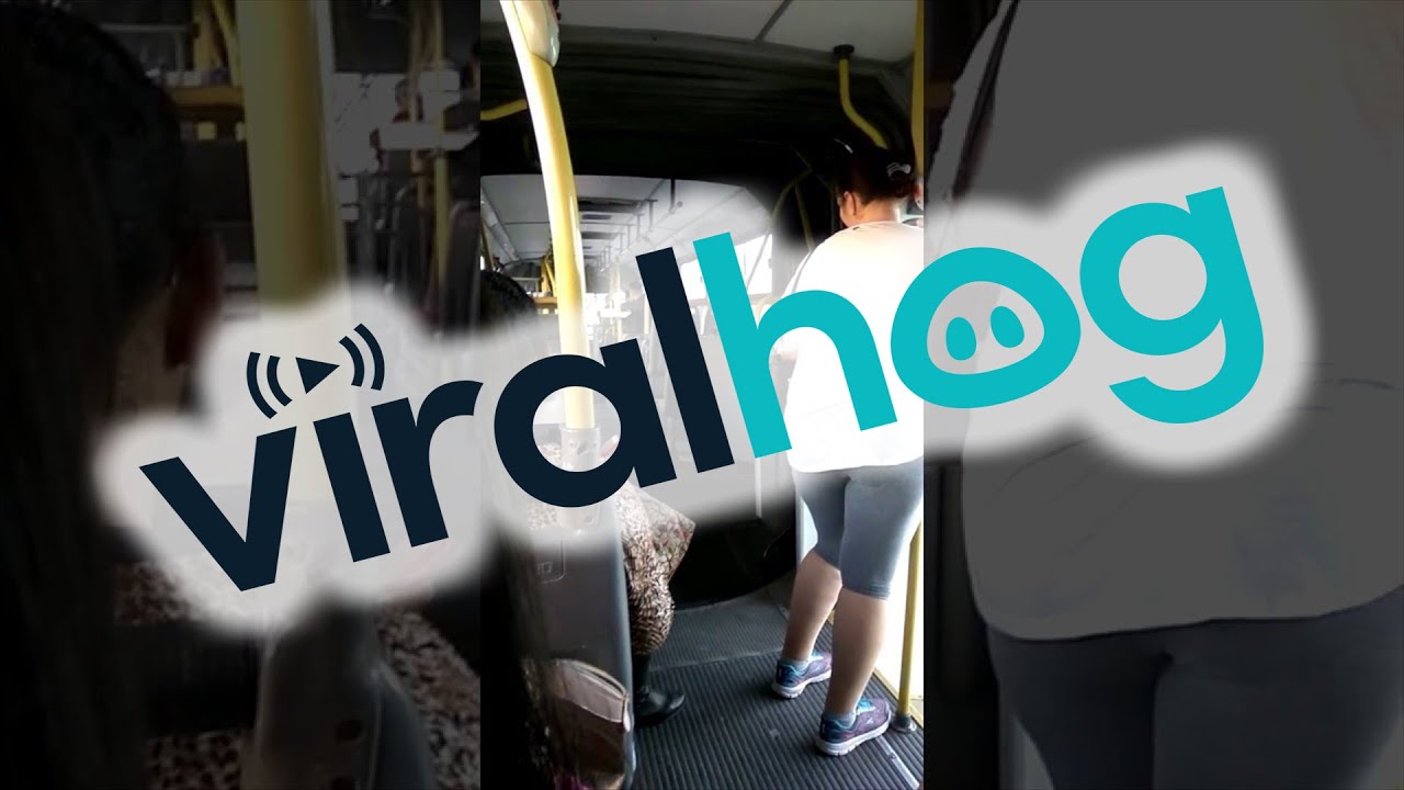 Accordion Bus Breaks || ViralHog