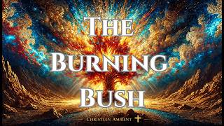 The Burning Bush | Sacred Christian Ambient Worship The Burning Bush Buck Worshiping In The Woods