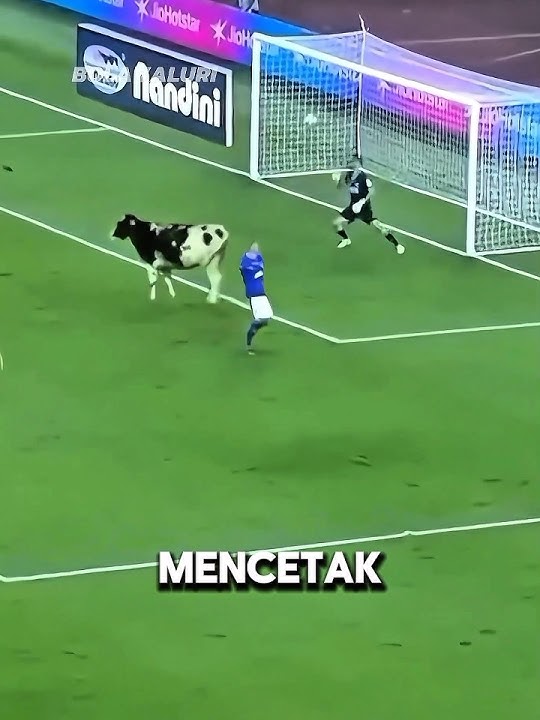 editing lucu dalam sepakbola ☠️