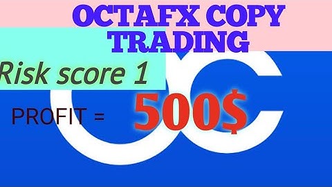 octafx copytrading bearmaster master review. 500 $ profit (48.84% gain). copy or not ?