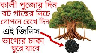 কালী পুজোর দিন করুন এই টোটকা!ভাগ্য ফিরে যাবে/kali pujar din karun ei totka