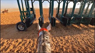 Horseriding in morning 😍ركوب الخيل في الصباح