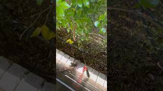 No Leaks Needed: Precise Water Line Locating for both Efficiency and Safety 👷🚧