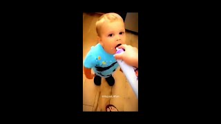 Funny Baby With Pets Videos - The Ultimate Try Not to Laugh Challenge