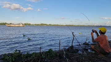 Ra sông Hậu câu cá với bài mồi cá dảnh huyền thoại | Săn bắt SÓC TRĂNG |