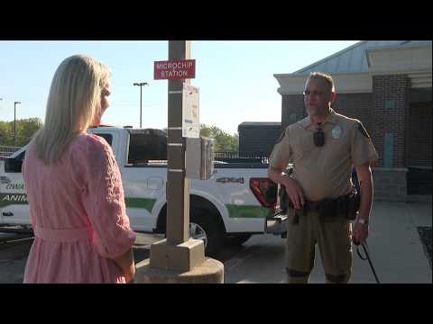 Owasso adds 24/7 pet microchip stations to help lost animals get home faster
