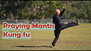 Kung Fu Training at home 2021: Seven Star Praying Mantis Kung Fu -Xiao Fan Che