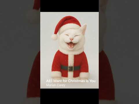 365고양이 – All I Want for Christmas Is You (Mariah Carey Cover) 고양이캐롤 캐롤추천