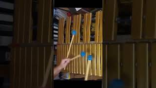 Steel drum transcription "Just the two of us"  #dimitrisangelakis #vibraphonist