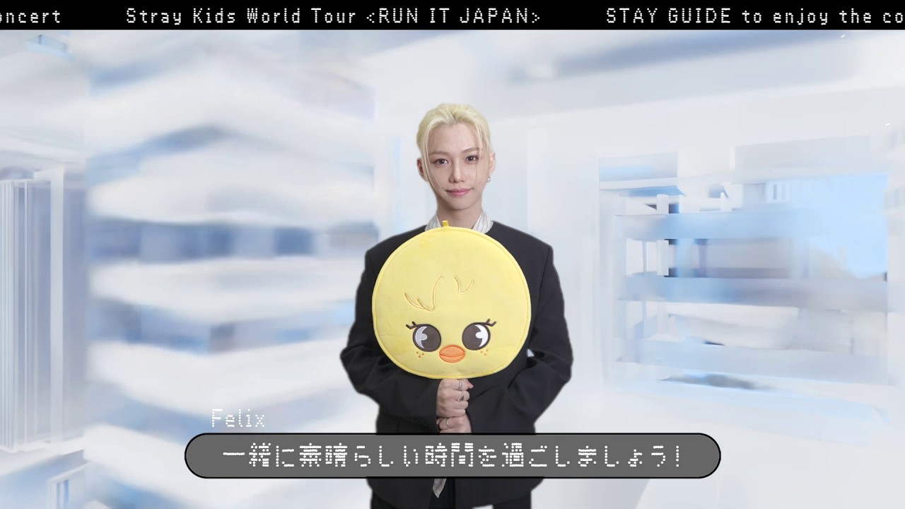 Stray Kids World Tour ＜RUN IT JAPAN＞ 🎬STAY GUIDE｜公演マナー編