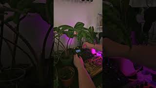 the weird one #electronicmusic #musicatechno #techno #musicproducer #digitakt