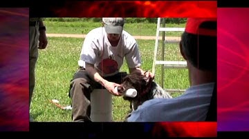 Ear Pinch Principle   SmartFetch clip